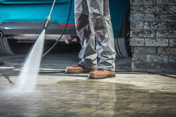 Best Dumpster Area Cleaning  in Brooksville, FL